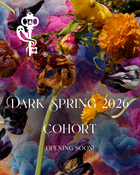 Dark Spring 2026 Cohort